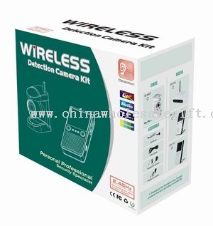850L 2.4GHz Detect/Alarm Wireless Camera Kit