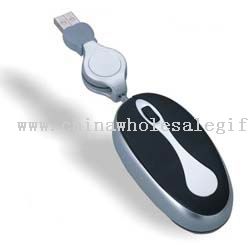 Flash memory mouse