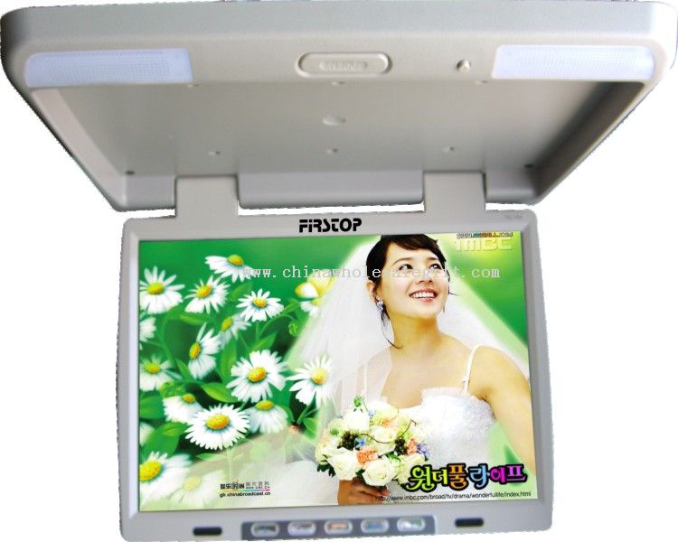 Roof Mount TV/Monitor