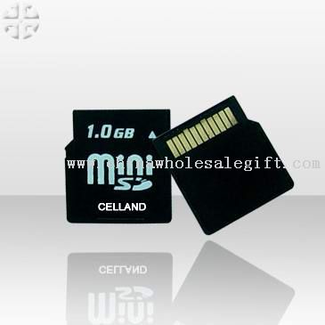 Mini SD kart