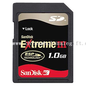 کارت Sandisk افراطی III SD 1 گیگابایت