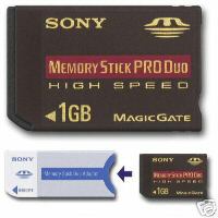 Sony Memory Stick Pro Duo 1 Go