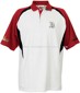 Golf-Poloshirt small picture