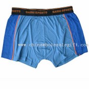 MENS BOXER SHORTS images