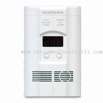 Carbon Monoxide and Explosive Gas Alarm