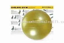 Bola del cuerpo Golds Gym images