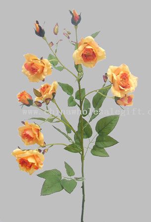 Rose Planter