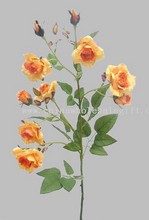 Rose Planter images