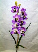 Orchidée cymbidium images