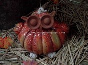 pumpkin owl images