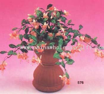 Mini Fuchsia Bush