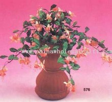 Mini Fuchsia Bush images