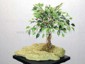 Mini Variegated Ficus W/PU Stone small picture