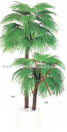 Palmetto pohon