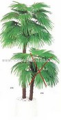 Palmetto strom images