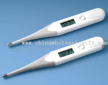 Instan Thermometer