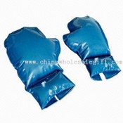 Gants de boxe Wii de poche électronique images