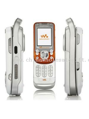 Sony-Ericsson-W550-11155432002.jpg