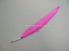 Feather Pen images