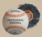 Top Quality Professional Baseball small picture