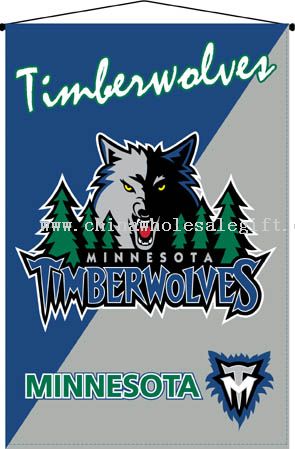 Suspensão de parede do Minnesota Timberwolves