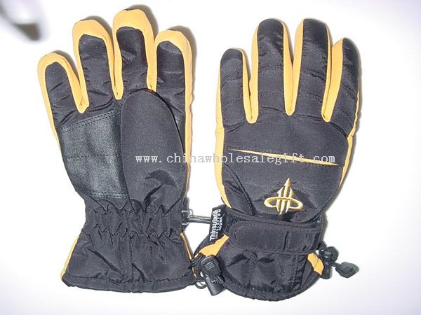 Ski gloves