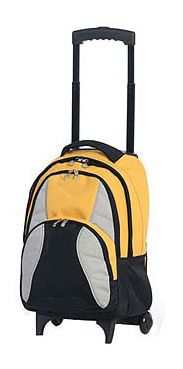 Trolley Backpack