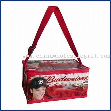 Cooler Bag