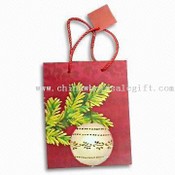 Shopping Bag images
