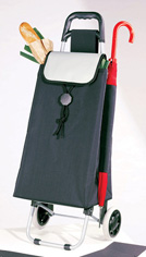 SHOPPING TROLLEY with umbrella