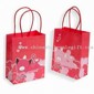 Shopping Bag small picture