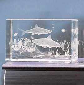 Love Sharks Laser Crystal