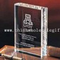 Crystal Throphy small picture