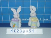 Hare holding rubrik 2/s images
