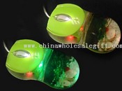 Liquid Mouse images