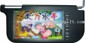 9 LCD color monitor small picture