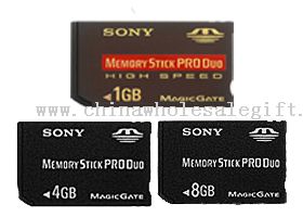 Memory Stick