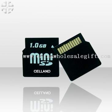 Mini SD Card