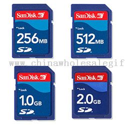 SD Card