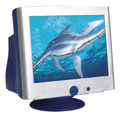 19CRT Monitor
