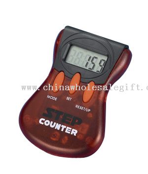Multi-functional Pedometer