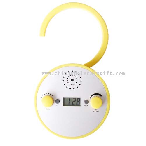 Shower Radio