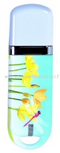 USB Flash Disk images
