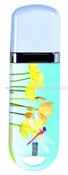 USB Flash Disk images