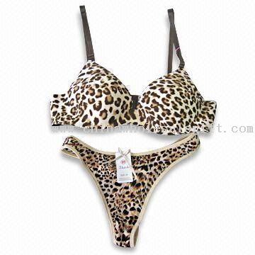 Black and Brown Lingerie Set