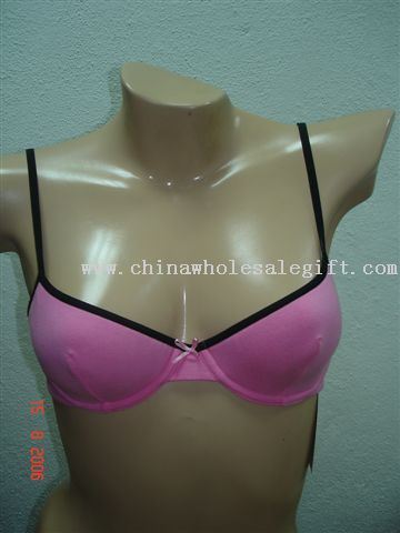 Lingerie, Bras