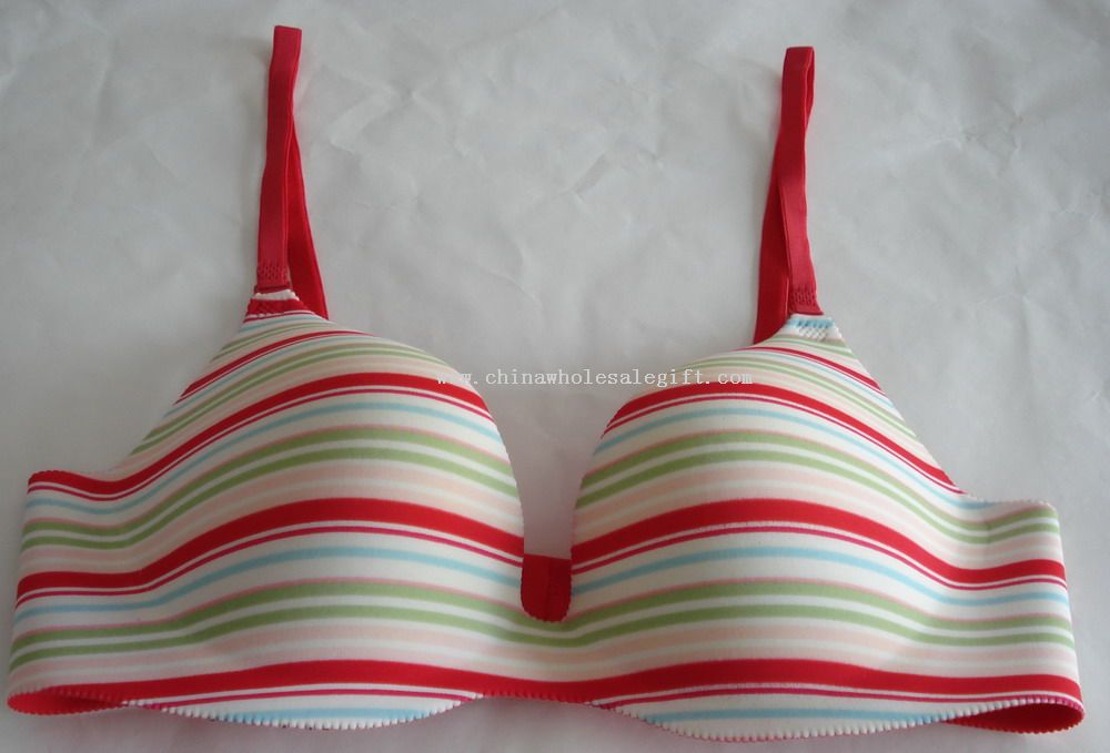 Seamless Bra