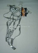 Sexy Erotic nightwear images