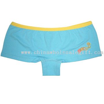 Ladies Briefs
