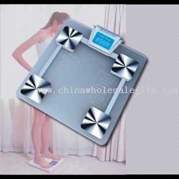 Body Fat Scale